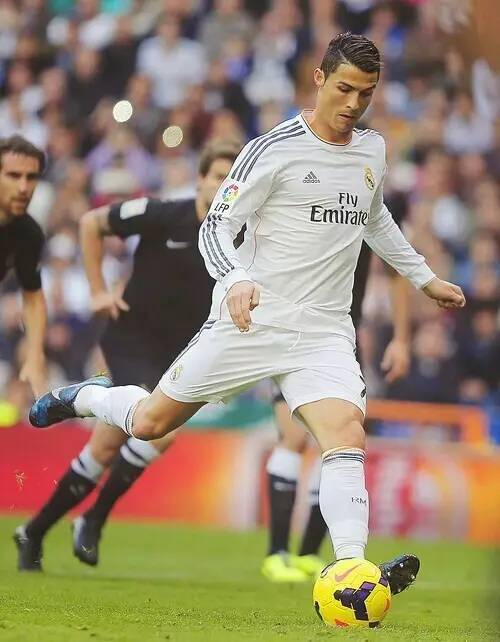 他们不断研 他们不断研