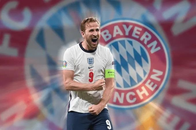 埃梅里盛赞 埃梅里盛赞