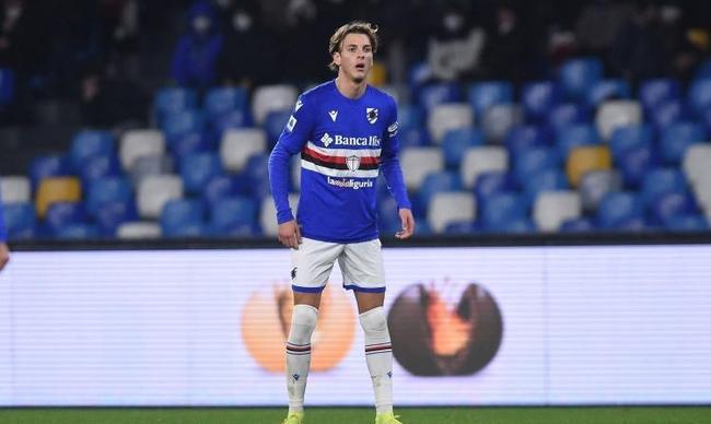 区域占据上 区域占据上