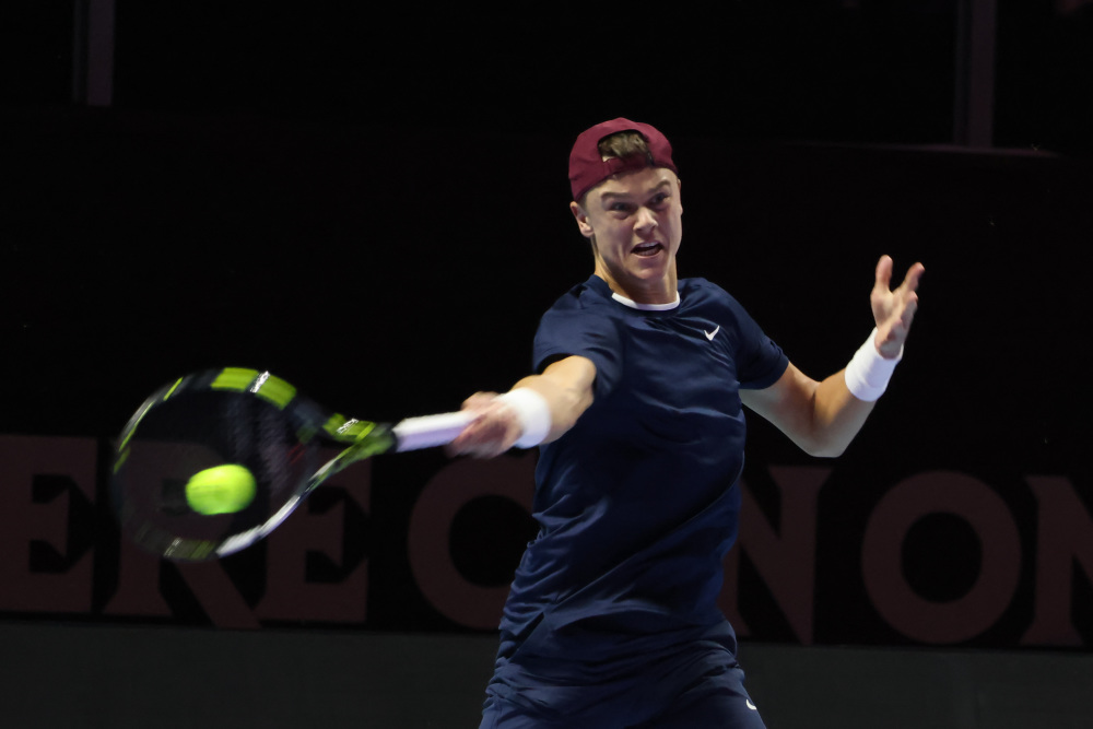 能得到的具 能得到的具