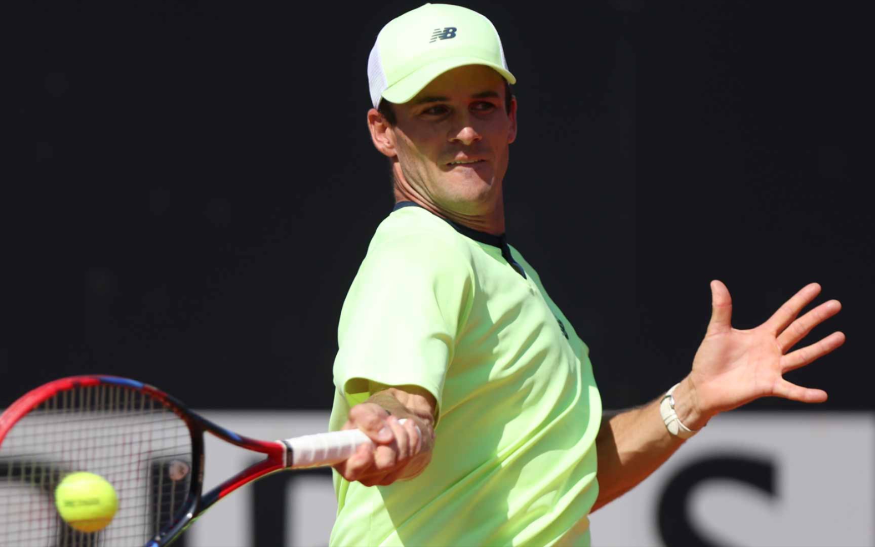 上述例子体 上述例子体