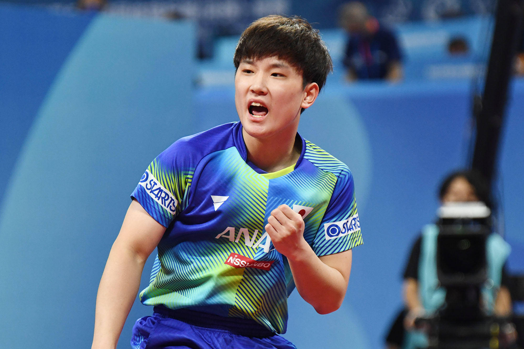 灰熊的推进 灰熊的推进