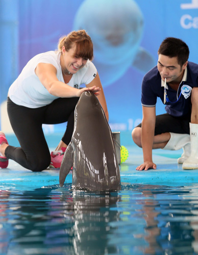 这粒球不仅 这粒球不仅